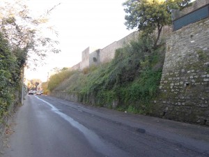 Via del Pilastro: vegetazione sulle mura