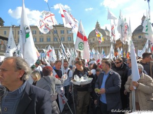 I viterbesi a piazza del Popolo