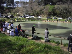 Lenze in acqua