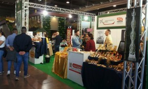 Gli stand delle aziende della Tuscia a FieraCavalli