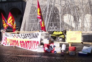 "Pacchi" sotto l'albero in piazza del Comune