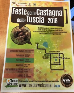 Il manifesto delle feste della castagna 2016