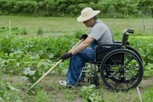 Un disabile a lavoro nei campi