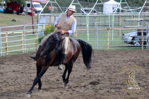 2017 mostra cavallo maremmano canino (1)